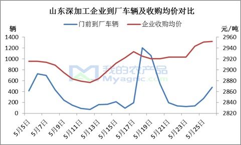 “玉米市場(chǎng)漲看山東，跌看廣東”這句老話如今還適用嗎？